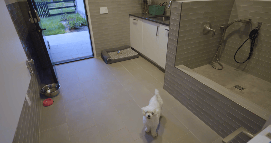 Custom Pet Room in Modern Style High End Luxury Custom Home by Design Build Firm AV Architects and Builders in Great Falls Northern Virginia The Architect House